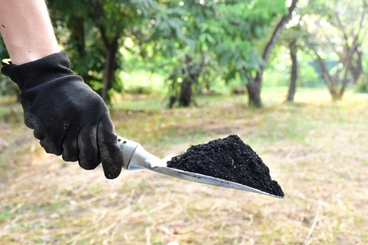 Integrating Biochar into Your Soil Management Plan